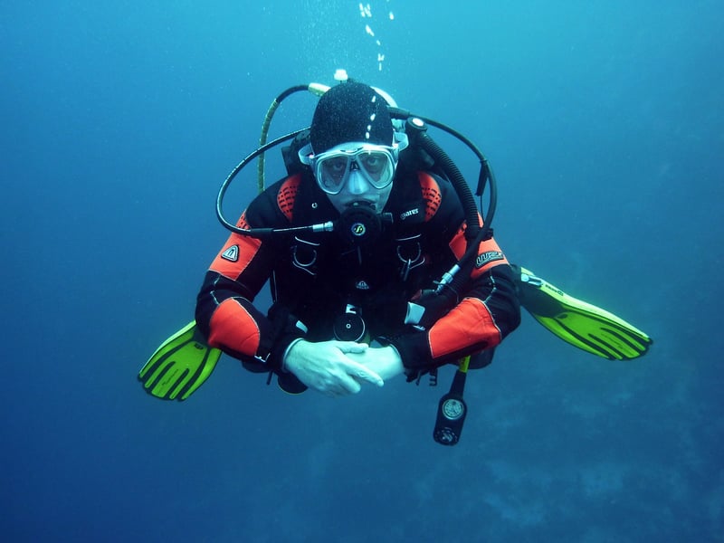 Shark Diving